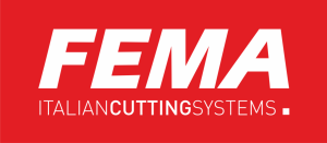 fema-300x131
